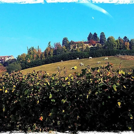 Del Boscogrande Montegrosso dʼAsti