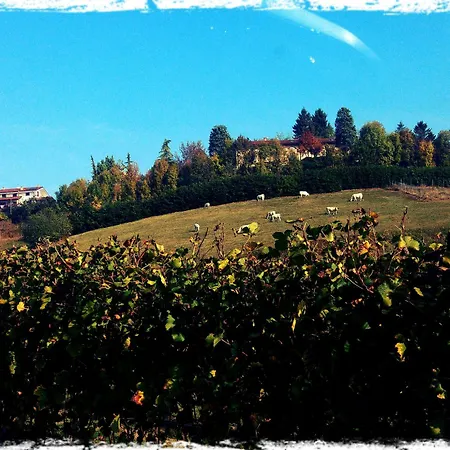 Del Boscogrande Hotell 3*